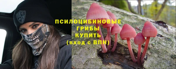 мяу мяу мука Абинск