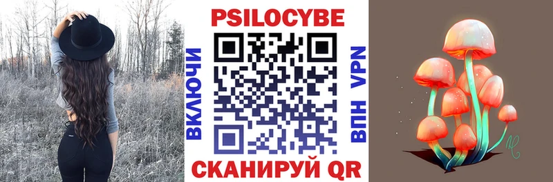 Псилоцибиновые грибы Cubensis  цены наркотик  Новомичуринск 